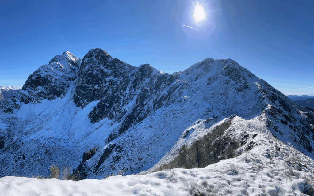 excursions organitzades amb transport i activitats incloses