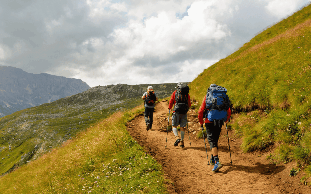 grup gaudint d’una excursió amb guia professional